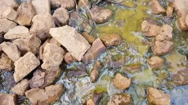 环境污染，<strong>淤泥</strong>中的脏水有石头和垃圾。